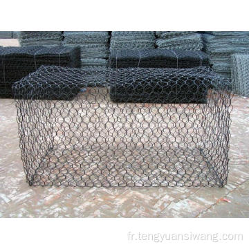 Guangzhou Cage hexagonale / fil de fil Gabion Mesh